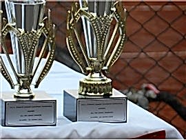Türkiye Tenis Federasyonu  Mersin Senior Klasman Turnuvası